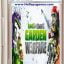 Plants vs Zombies Garden Warfare PC Game