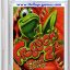 Frogger 2 Swampy’s Revenge Game