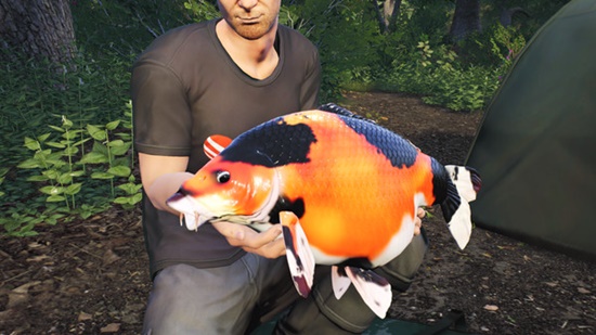 Euro Fishing: Lilies Game Full Version