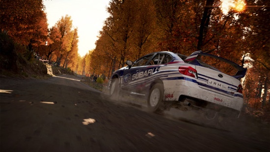 DiRT 4 Game Picture 2