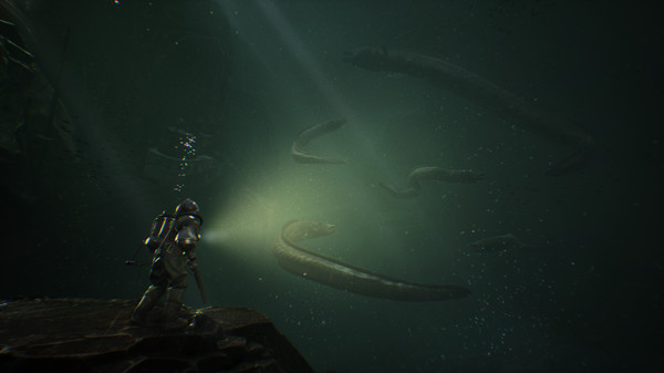 The Sinking City Game Picture 3