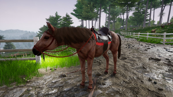 Horse Riding Deluxe 2 Game Picture 2