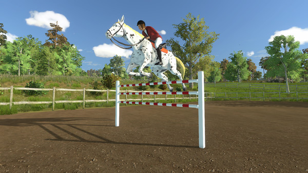 My Little Riding Champion Game Picture