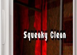 Squeaky Clean Game