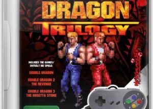 Double Dragon Trilogy Game