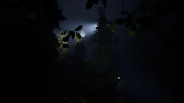 Taiga PC game Full version