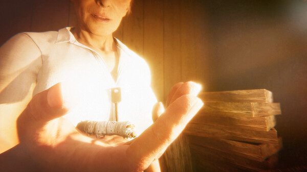 Hollow Cocoon With Crack