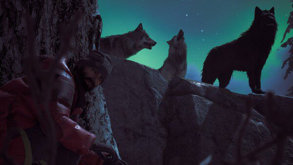 Winter Survival PC Free