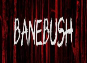 Banebush
